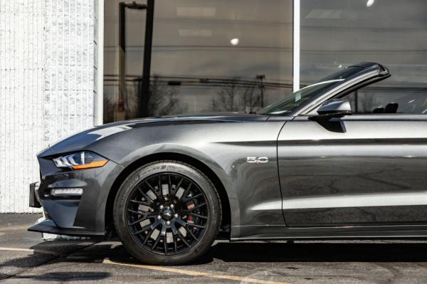 Used 2019 FORD MUSTANG GT GT